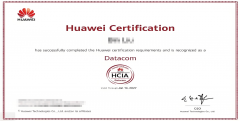 其次可选择华为HCIE-AI（专家级 